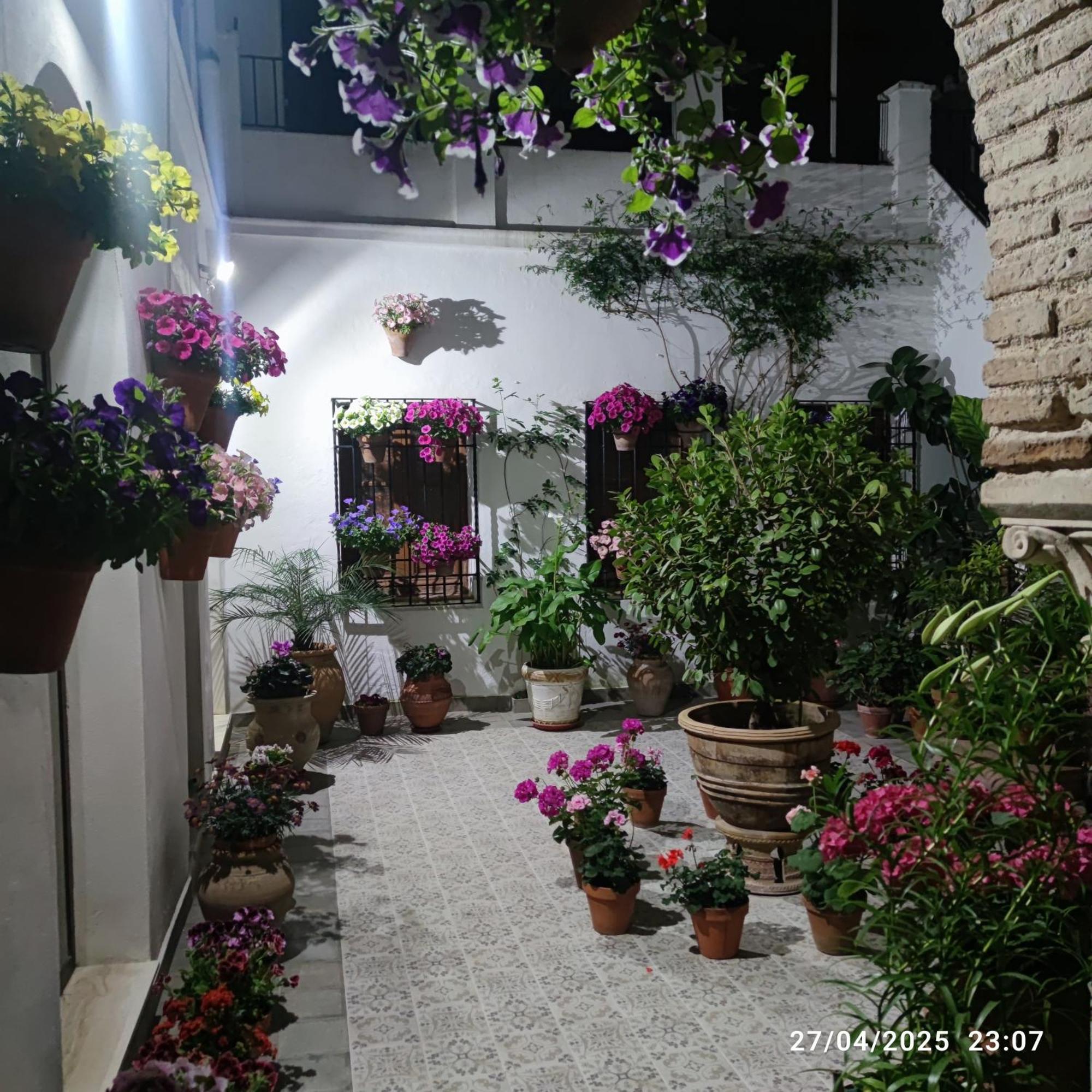 El Patio De Regina Apartment Cordoba Exterior photo