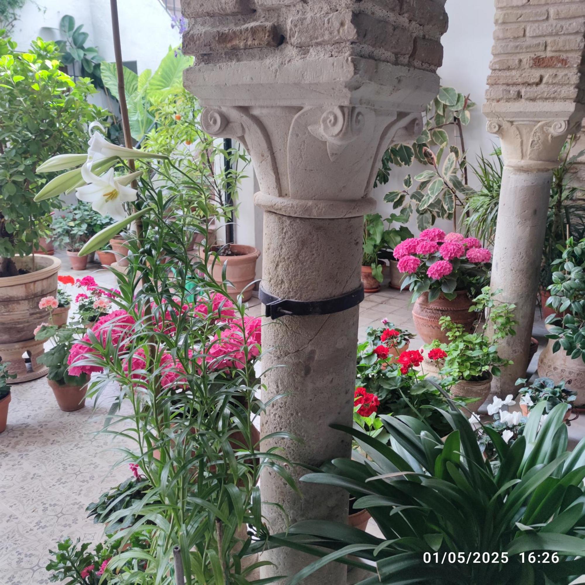 El Patio De Regina Apartment Cordoba Exterior photo