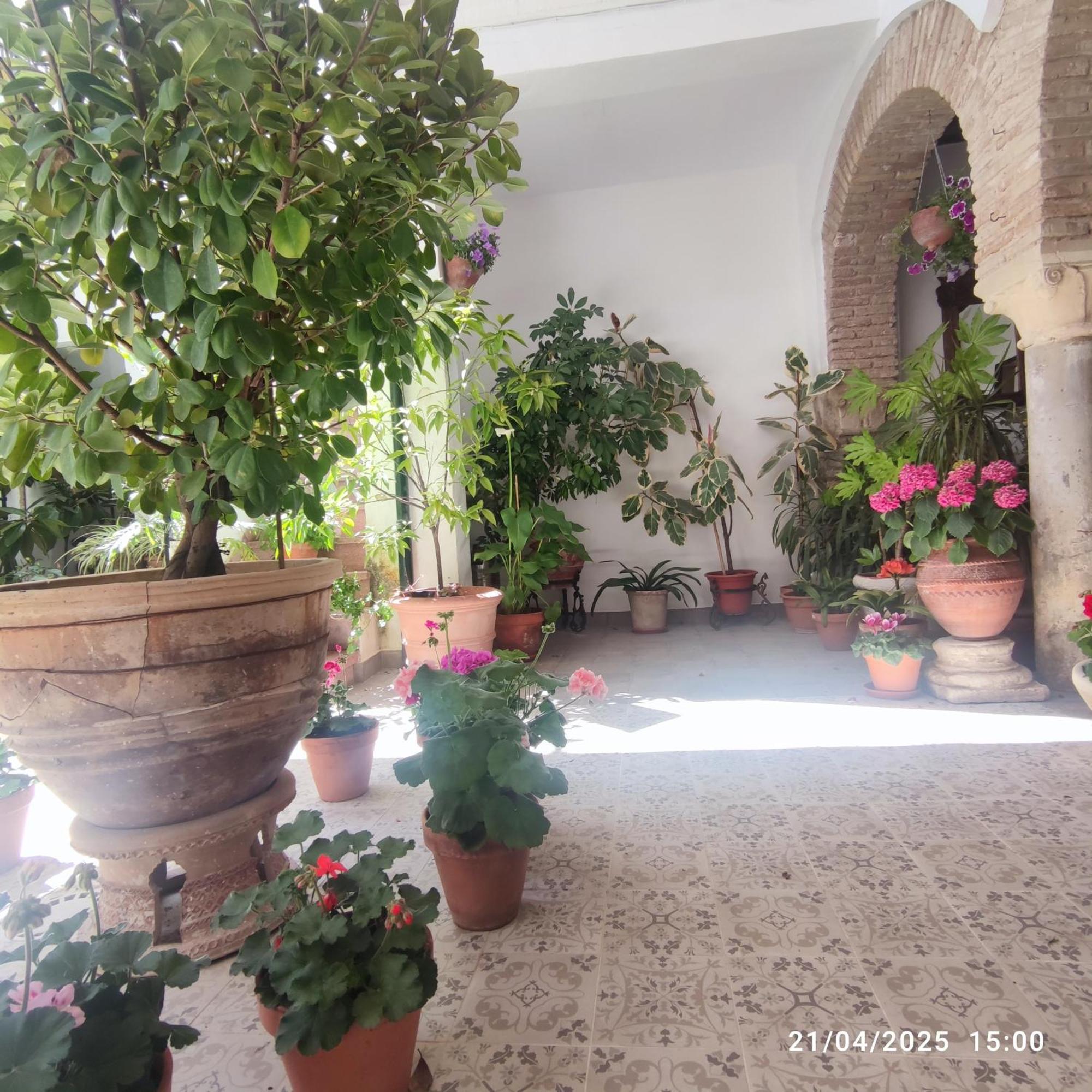 El Patio De Regina Apartment Cordoba Exterior photo